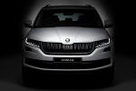 Skoda Kodiaq 2016 года (WW)